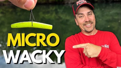 Take Advantage of a MICRO Wacky Rig - Watch Underwater