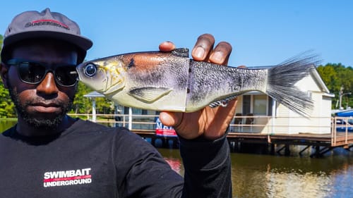 Fishing GIANT Swimbaits On Docks with Geoff Hamilton