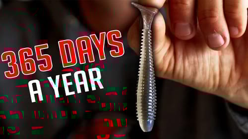 2 LURES that are DEADLY 365 days a YEAR for BASS