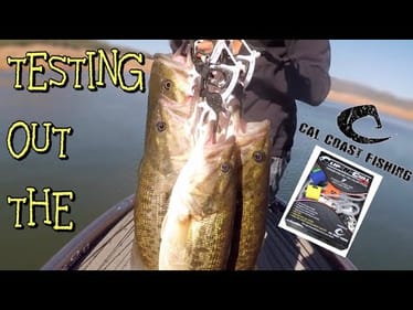 Testing out the Cal Coast Fishing Clip-N-Cull 2.0