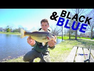 Black and Blue Lure Fishing Challenge