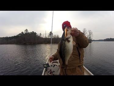 Winter Bass Fishing - Jerkbaits
