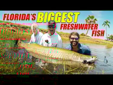 We Picked a Fight with a MONSTER Fish