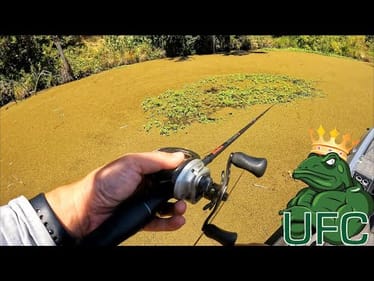 Biggest FROGS ONLY tournament in the USA