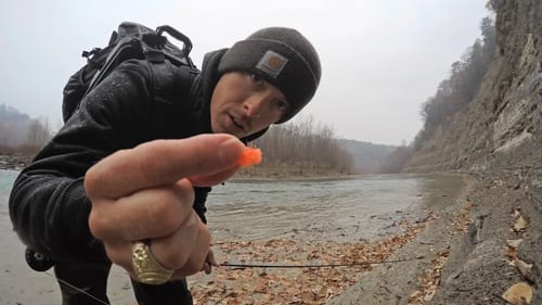 Fly Fishing & Hiking Adventure in The Blue Ridge Mountain Forest