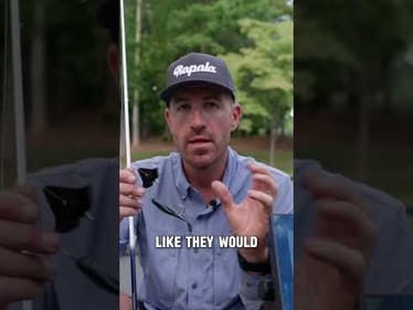 Jacob Wheeler’s Buzzbait HACK! 👀 #shorts