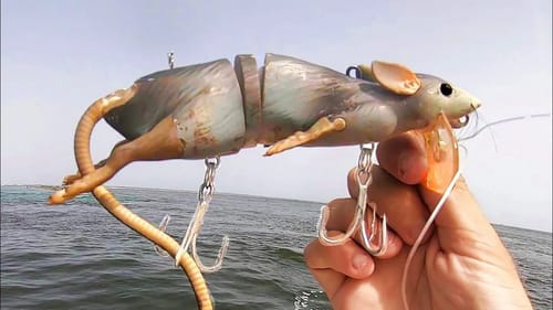 HUGE RAT LURE vs MONSTER FISH!!