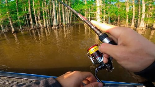Fishing THICK Cypress Trees for Spring Bass || Unexpected Fish SMASHES Swimbait
