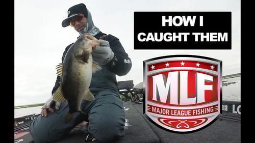 Kissimmee Chain MLF Recap