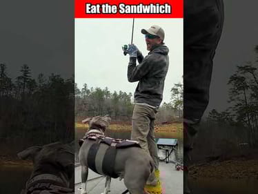 Eat the Sandwich