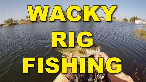 Wacky Rig Fishing | Bass Fishing