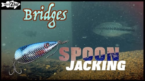 How to Spoon Jack Bass on Bridges