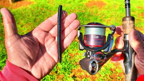 Simple Senko Setup That Big Bass Simply Can't Resist