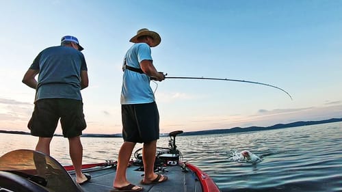Catching TOPWATER BASS in the FALL! (Lake Guntersville)
