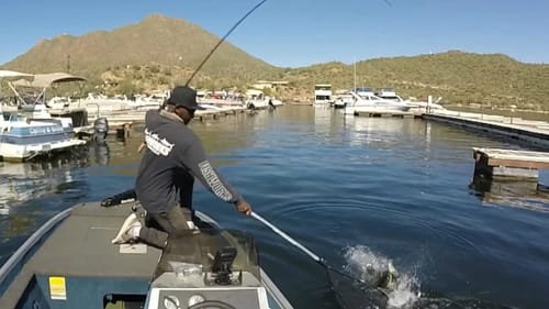 Spring Time Dock Bass On A Big Swimbait