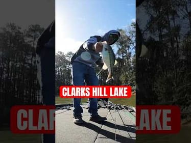 Big Spot on Jaw Dropper Clarks Hill MLF Invitationals #short #bassfishing #mlf