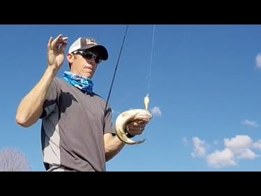Wild Bass Breaks My $300 Fishing Rod