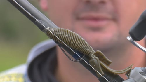 The Best Fall Texas Rig Tips and Tricks - How To from Kyle Welcher | Bass Fishing