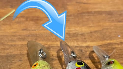 The Top 3 Hog Producing Shallow Summer Crankbaits…