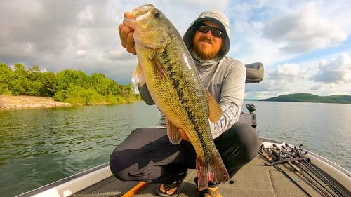 Bass Fishing Grand Slam on Table Rock Lake!