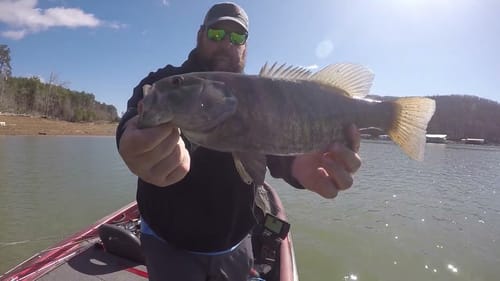 Post Front Crankbait Fishing