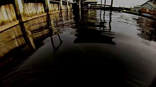 Bass Sight Fishing Challenge