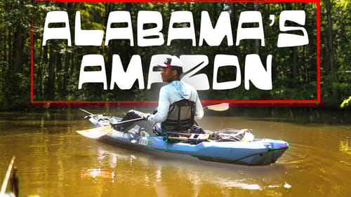 Fishing A River LOADED w/ BIG BASS (Cahaba River)