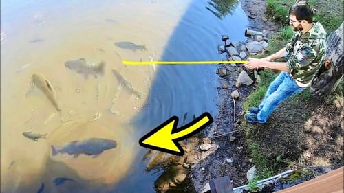 NO ONE SHOULD BE ALLOWED TO FISH HERE!! (BUT I DID)