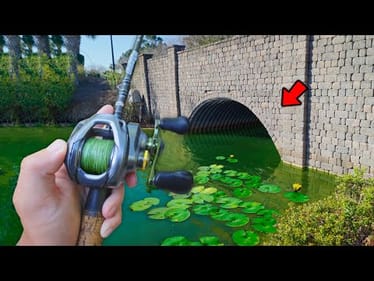 Fishing URBAN CANALS For Spring Bass! (Bed Fishing)