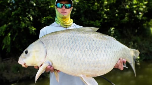 GIANT RIVER BUFFALO FISH! | Fishing Frogs for Bass Under Trees