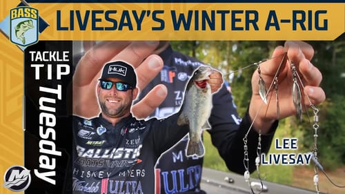 Lee Livesay's NUMBER ONE lure for WINTER bass fishing