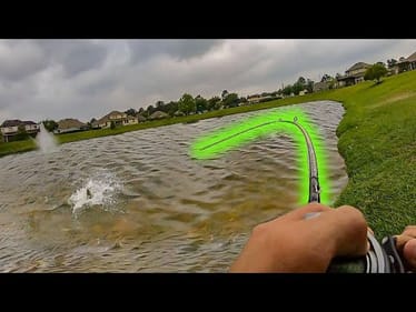 BIG FISH HIT TOPWATER in CLEAR WATER!!