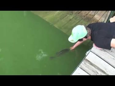 Big Ohio Bass -- Summer Fishing