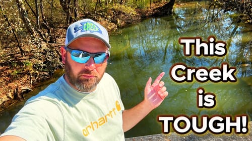 Not a Creek I Typically Fish