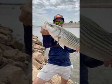 Fishing for Massive Striper Bass at the Spillway #fishing