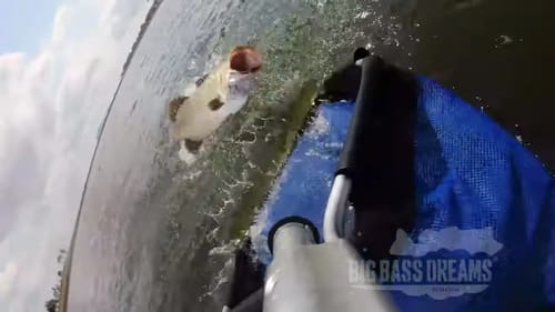Big Baits Big Bites - Big Barramundi Dreams Part 15