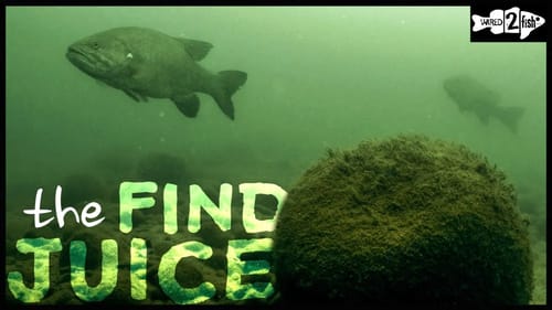 How to Find Good Fishing Spots with Forward-Looking Sonar