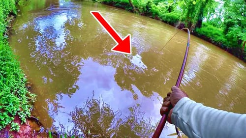 SURPRISE CATCH!!! Catch Any Species Of Creek Fish With This Setup!