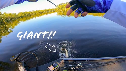 I CAUGHT My LIMIT In the LAST 15 MINUTES Of This BASS TOURNAMENT!! || Did I Have Enough To WIN??