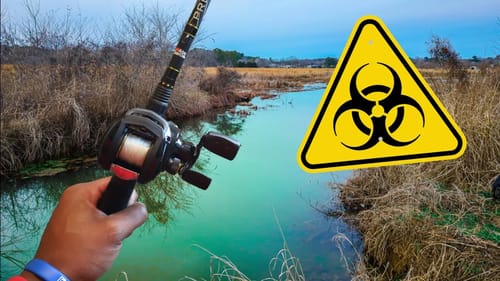 Fishing An ABANDONED GOLF COURSE POND (SURPRISING)