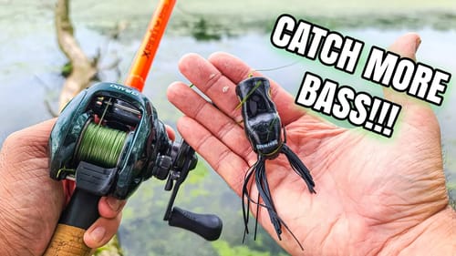 INSANE Summer Bank Fishing | Bass DEMOLISHED My Frog!