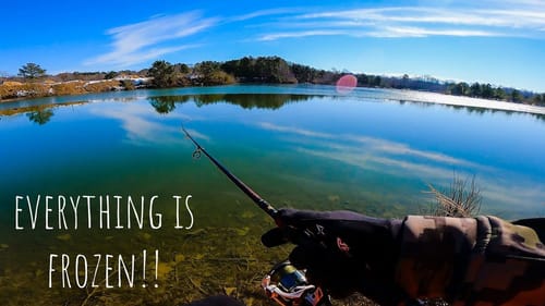 I CAN'T Believe THESE FISH Were STILL BITING!! // Fishing a FROZEN Pond!