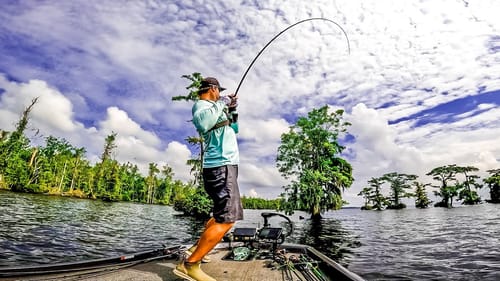 These SHALLOW TREES Are LOADED With BIG BASS!!! || Chowan River