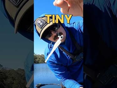 Tiny baits for the win! #fishing