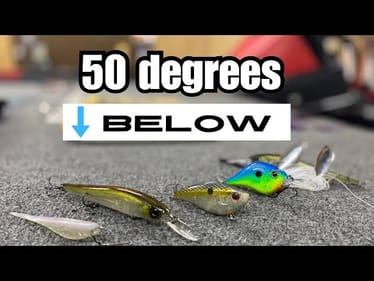 5 Lures For Cold Front Bass Fishing