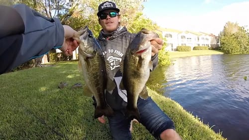 Peacock & Largemouth Fishing in West Palm Beach!! (FL5)