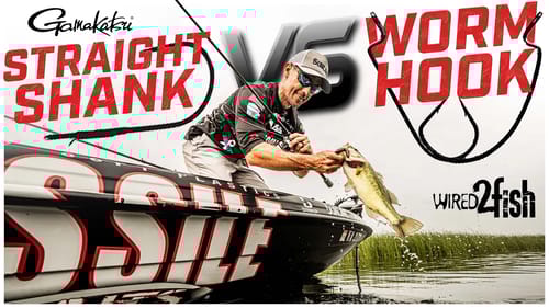 When to Use Straight Shank vs Offset Worm Hooks