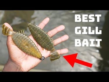 This Japanese Bluegill Bait Is Unmatched For Summer Fishing!