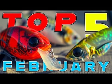 Top 5 Baits For February Bass Fishing!