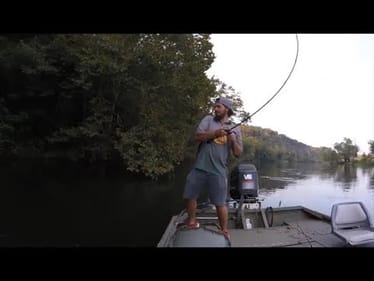 BIG FALL SMALL MOUTH ARE STARTING TO MUNCH